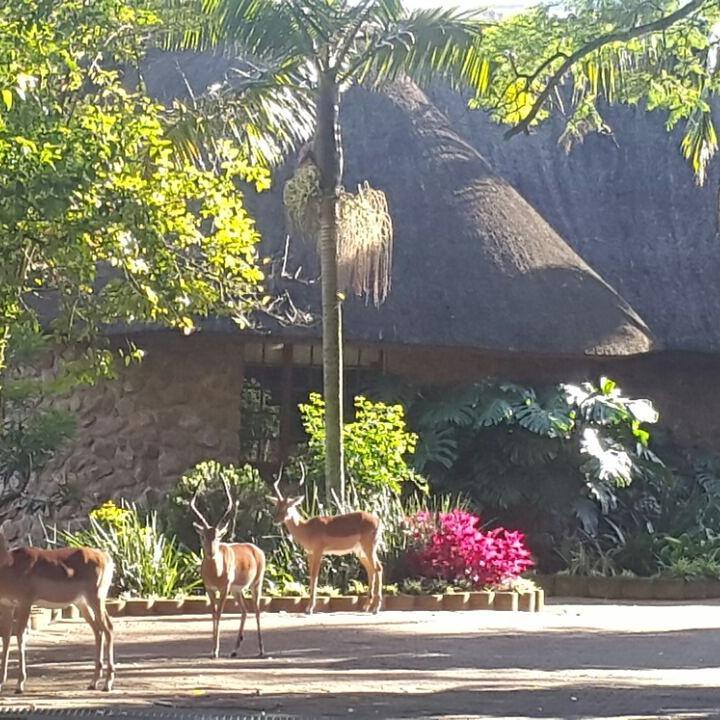 Chantecler Hotel Botha's Hill Esterno foto