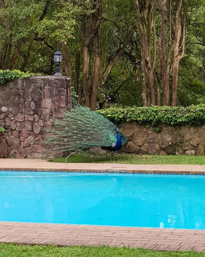 Chantecler Hotel Botha's Hill Esterno foto